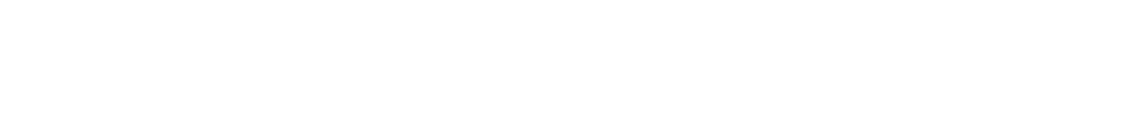 Dynomag